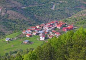 Çamlıdere Web Tasarım