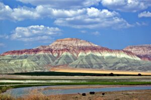 Nallıhan Web Tasarım